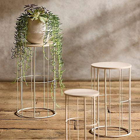 Golden Petals Stand