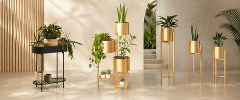 Stylish Plant Holders &amp; Indoor Plant Stands Collection