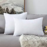Cushion Filling