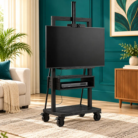 Mobile TV Cart