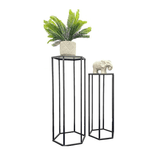 Set of 2 Metal Plant Stand Black