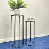 Set of 2 Metal Plant Stand Black