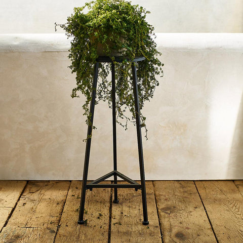 Three Leg Iron Plant Stand - The Linen House