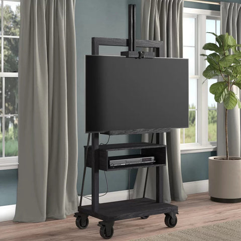 Mobile TV Cart