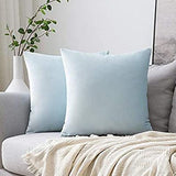 Velvet Cushion Cover- 1 Cushion Cover - The Linen House