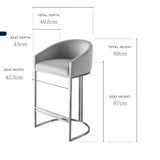 Dakota Champagne Velvet & Metal Barstool - The Linen House