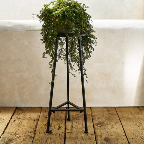 Three Leg Iron Plant Stand - The Linen House