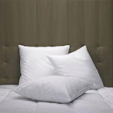 Cushion Filling - The Linen House